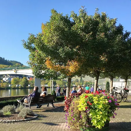Moselpromenade 公寓 摩泽尔河畔的泽尔